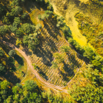 Règlement sur la déforestation : Règlement EUDR
